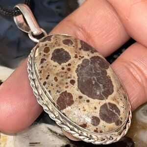 Wonder Stone Jasper Ryolite Pendant 2 1/4”